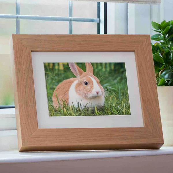 Photo frame urn window