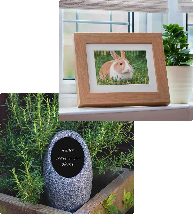 Small animal memorial items