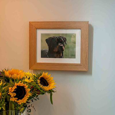 Tribute Frame photo box